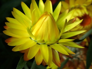 P9280211a.jpg